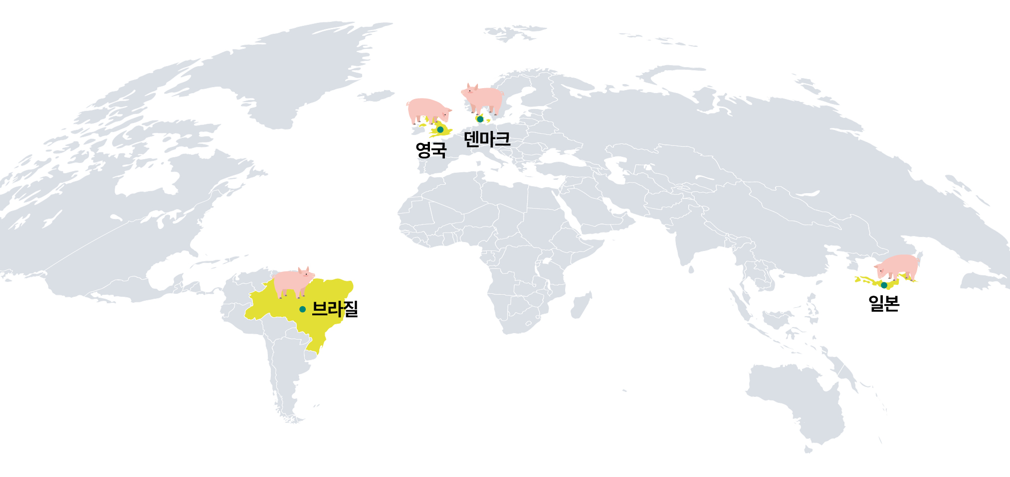 1.해외양돈 뉴스01(메인).jpg