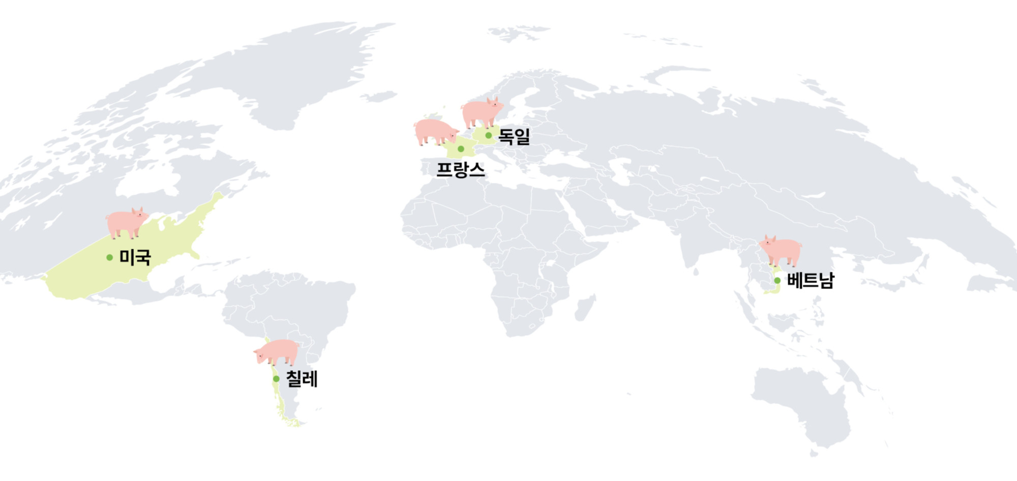 1.해외양돈 뉴스01(메인).jpg