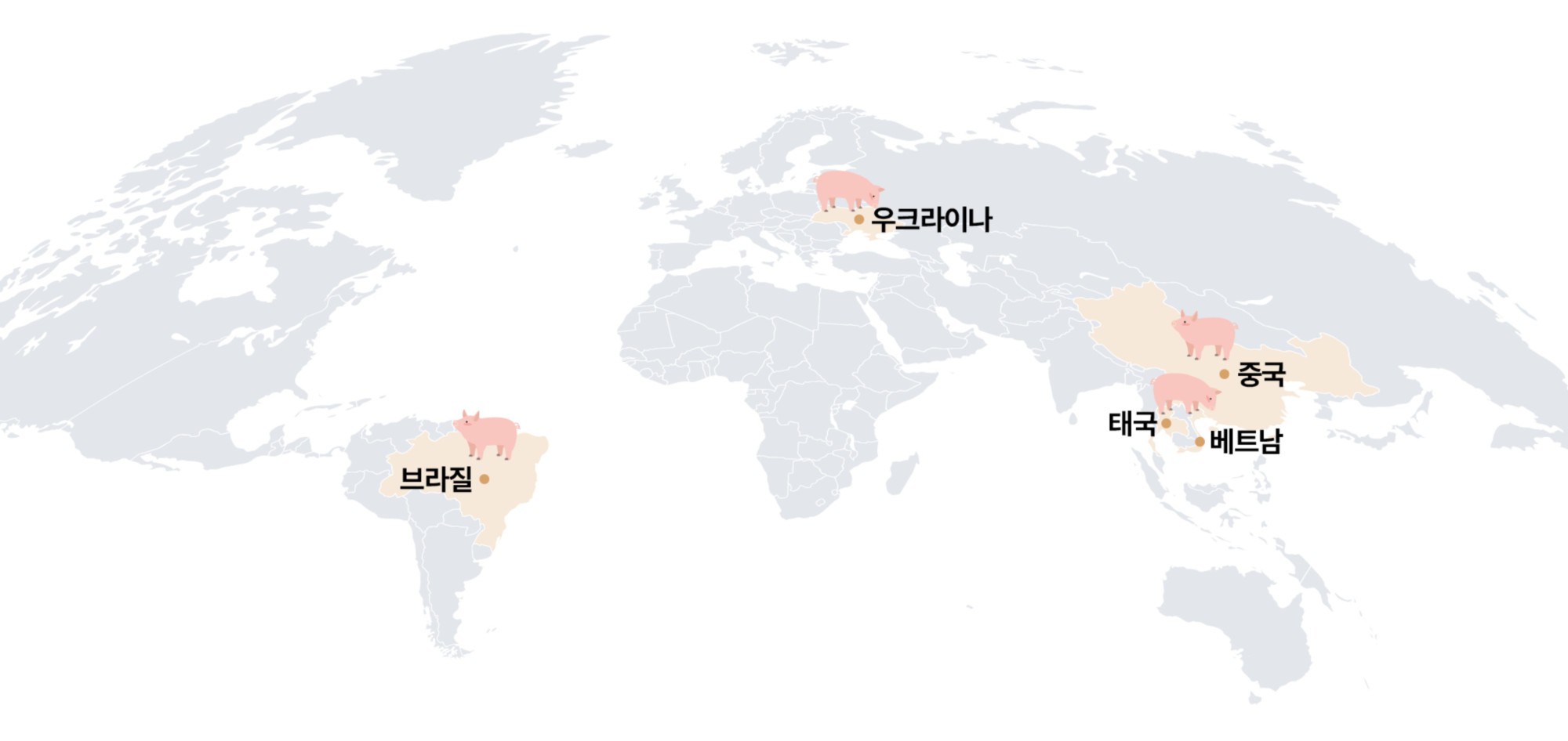 1.해외양돈 뉴스(메인).jpg