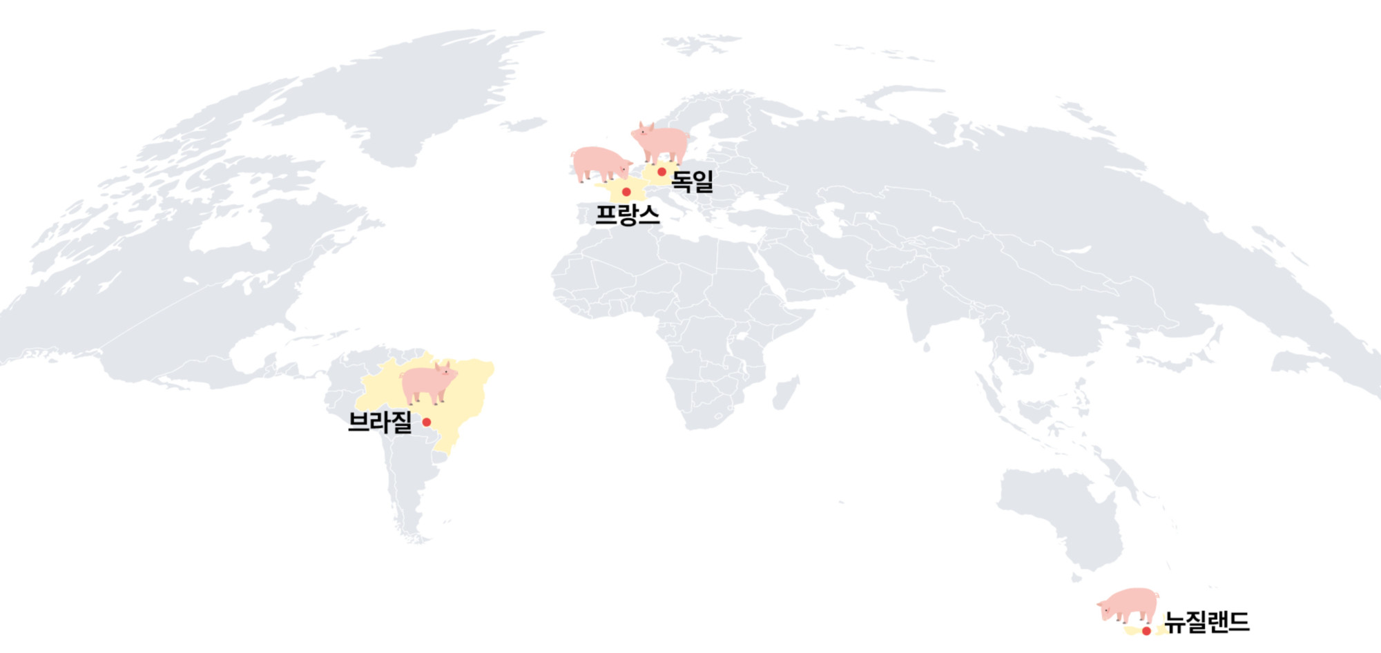 1.해외양돈 뉴스(메인).jpg