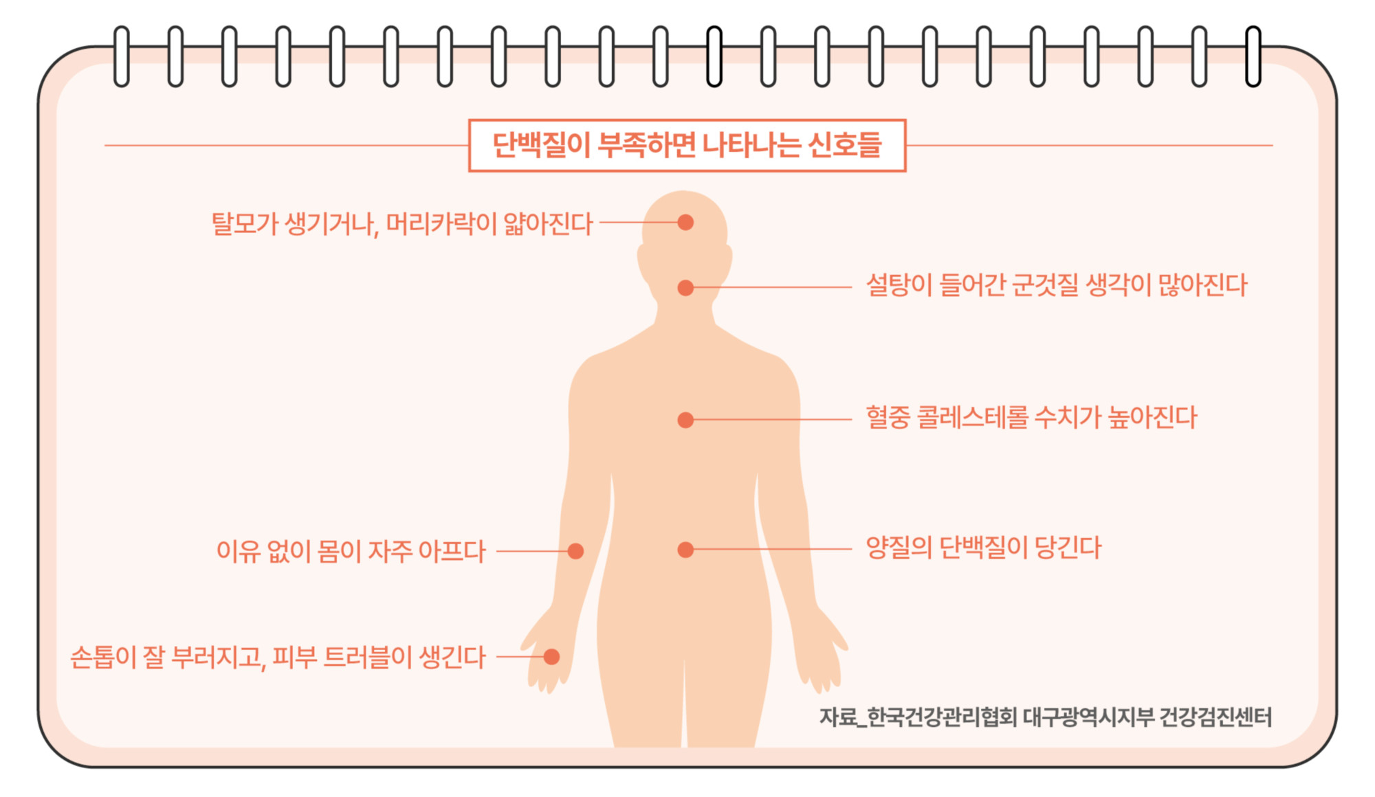 2.한돈 리포트02.jpg