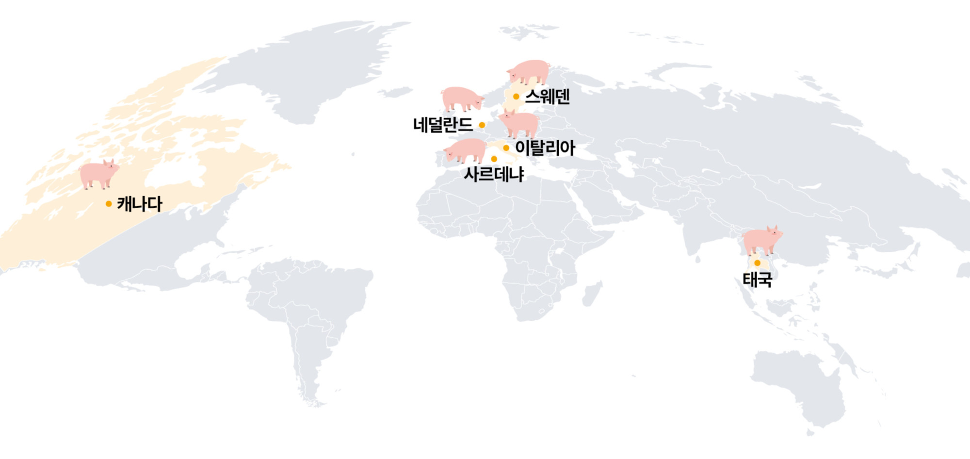 1.해외양돈 뉴스(메인).jpg